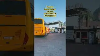 ташкент екатеринбург автобус