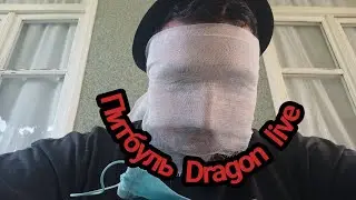 Питбули dragon live / My Dog / Новая рубрика всё накрылось медным тазом