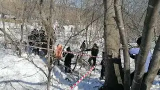 Фестиваль 