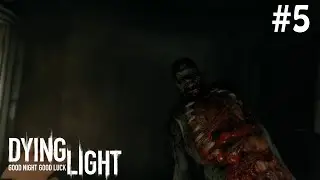 Dying light #5 Коллектор