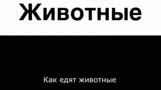 Как едят животные