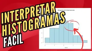 How to Interpret a Histogram | What Does Each Part Mean? | Statistics for Beginners