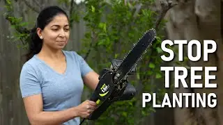 5 Reasons why we should STOP Reckless Tree Planting