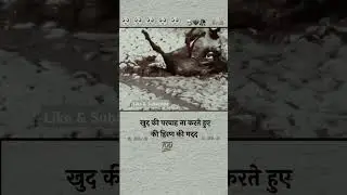 खुद की परवाह न करते हुए। बेजुबान जानवर की मदद की मदद की #motivation