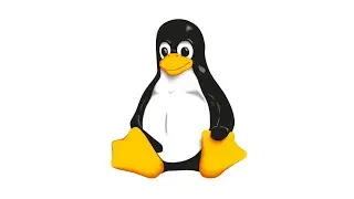 Common Linux Commands