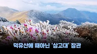 [영상스케치] 5월 앞두고 덕유산에 때아닌 상고대 장관 [천지TV]