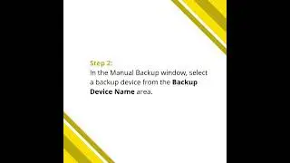 Start a Manual Backup