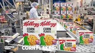 Inside a Mega CORN FLAKES Factory 🥣 | Over 1 Million Boxes of Cereal Made Every Day