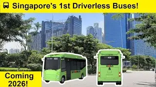 SBS Singapore First Public Driverless Buses Are Coming In 2026! Will You Take It?