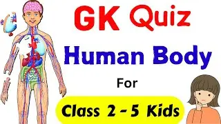 Human Body Quiz | GK Human Body Questions | General Knowledge Quiz | GK Quiz on Human Body | GK Quiz
