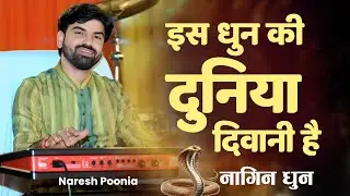 इस धुन की दुनिया दीवानी है | नागिन धुन ~ नरेश पूनिया म्यूजिकल ग्रुप | Nagin Dhun