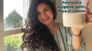 Fermentos Búlgaros kéfir para el cabello