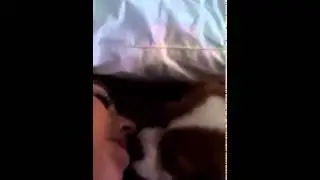 Girls Kissing the dog