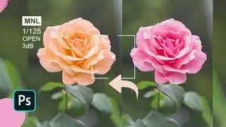 Photoshop Tutorial - How to Change The Flower Color In Photoshop In Photoshop CC