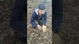 30 июля 2024 г.