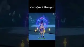 Lvl 1 Cyno Damage Showecase!