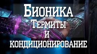 Бионика. Термиты и кондиционирование.