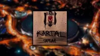 Beşiktaş Affetmez Saplar (Official Audio)