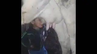 на тащак