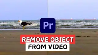 How to Remove Any Object From Video | Premiere Pro Tutorial |  Remove Anything From Video