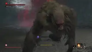 獅子猿