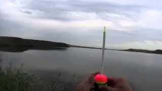 Поверхностный монтаж для ловли толстолоба(Дневник рыболова)