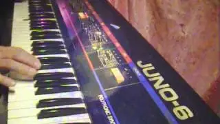 Roland Juno 6 ( in the loop 2 )