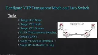 Configure VTP transparent mode | VLAN trunking | Hum VTP Transparent Mode kaise Configure kerty han.