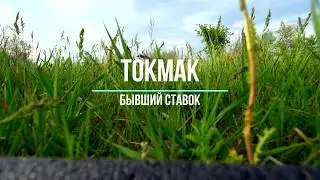 Токмак.. бывший ставок, река Чунгул, рапсовые поля и подпал сухотравья