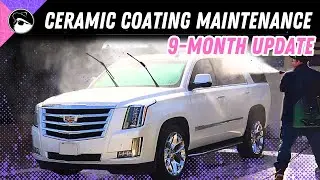 How I Maintain a Ceramic Coating [ 9 Month Update ] #detailing #cardetailing #autodetailing