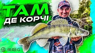 Трофейний Судак в корчах. Як ловити на джиг на течії?