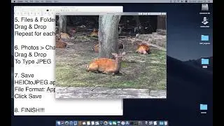 HEIC to JPEG Convert Free