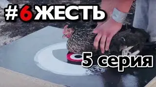 Реалити Шоу 