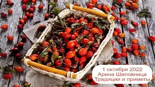1 октября 2022 Мученица Ариадна Промисская.  Арина Шиповница.  Приметы.