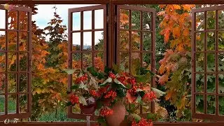🍁С БАБЬИМ ЛЕТОМ!🍁