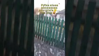 ❗Зруйноване село обстрілами орків😡...Без слів🤬...#shorts
