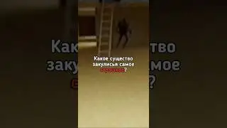 💀Какое существо закулисья самое страшное? 💀 #shorts #backrooms #закулисье