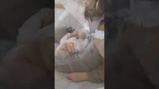 Hauck - Nurse n Feed