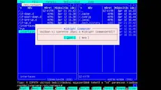 Ubuntu Server | Permanent Static Interface Setting