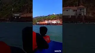 #goa #worldwildlifeday #animals #dolphin #trending #shorts #animals #viral #viralvideo #travel #trip