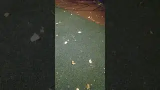 печалька.