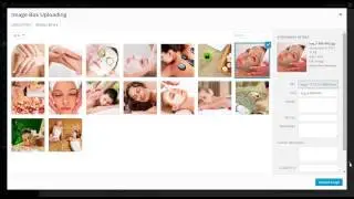 Beauty Spa - Adding images after importing XML demo content.