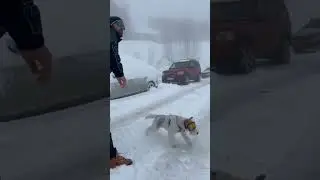 Когда открыли для катания курорты после 3 дней снегопадов ❄️❄️❄️