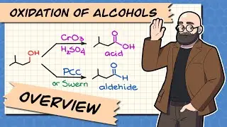 Oxidation of Alcohols in Organic Chemistry