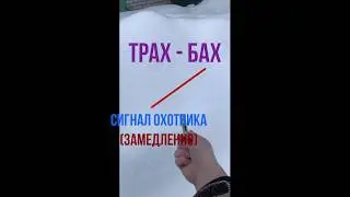 Сигнал охотника (ракетница) Выстрел