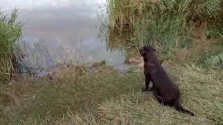 Азарт рыбалки/The excitement of fishing