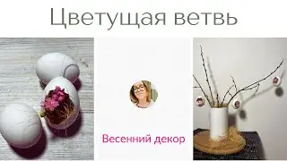 Украшения из яичной скорлупы к Пасхе