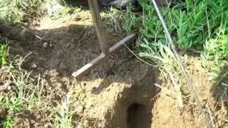 ČIKA PERA LOVAC NA SLEPE KUČIĆE