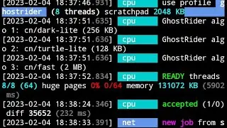 Как майнить Monero или Ghostrider Raptoreum на Андроид xmrig Miner
