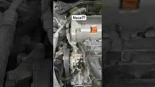 cold start engine noise? 